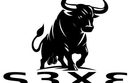 S3XE BULL ICON